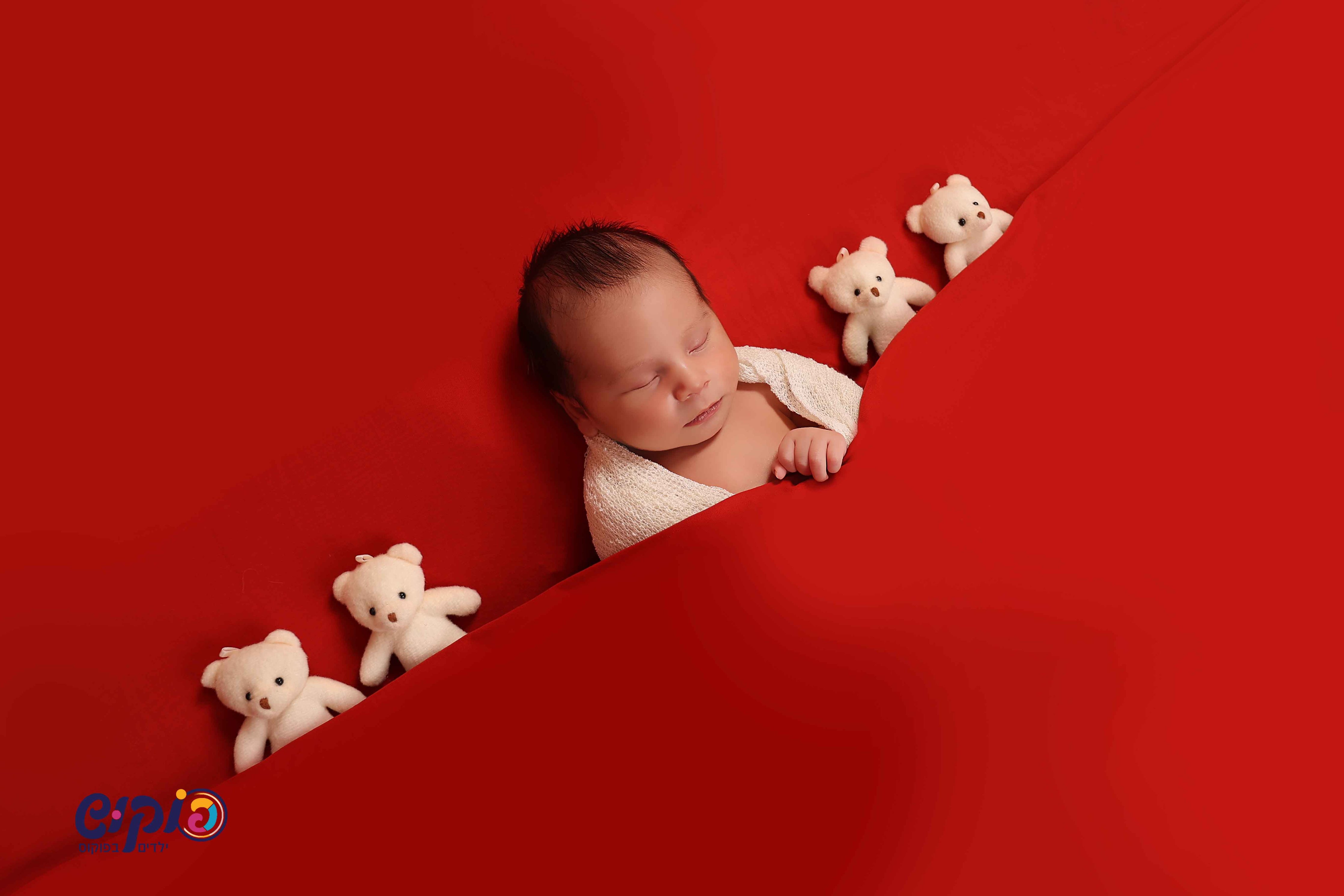 ינאי ניו בורן שושי פוקוש 0504129971 (4).jpg