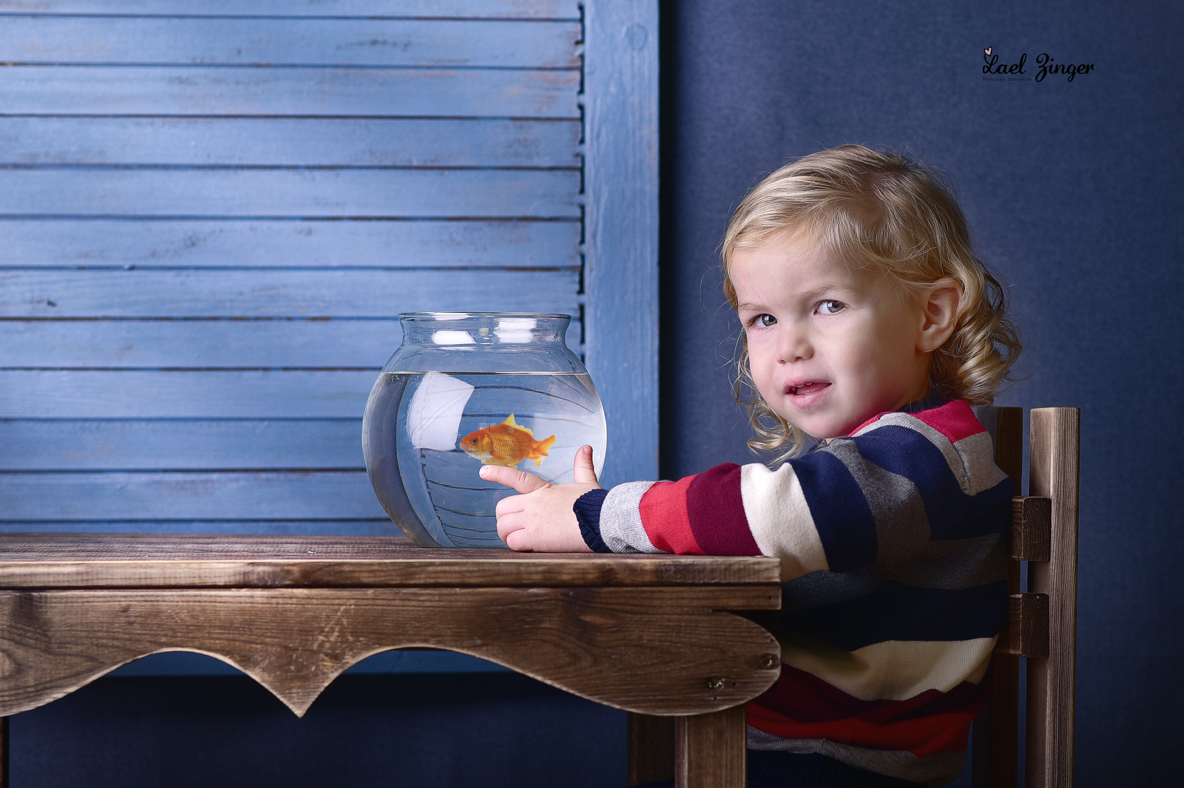 יעל זינגר-0585444158