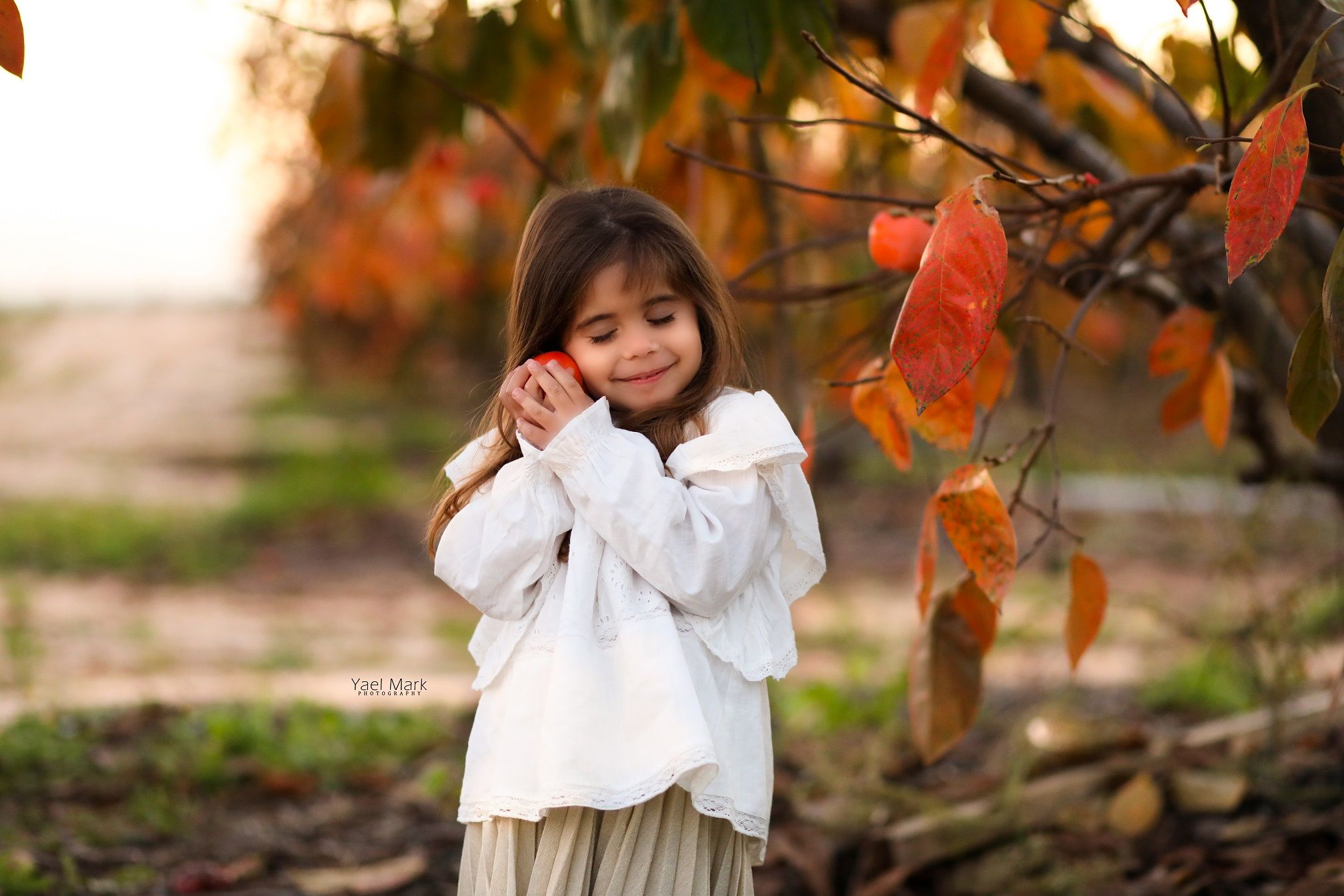 יעל מרק צלמת מקצועית 0528409157