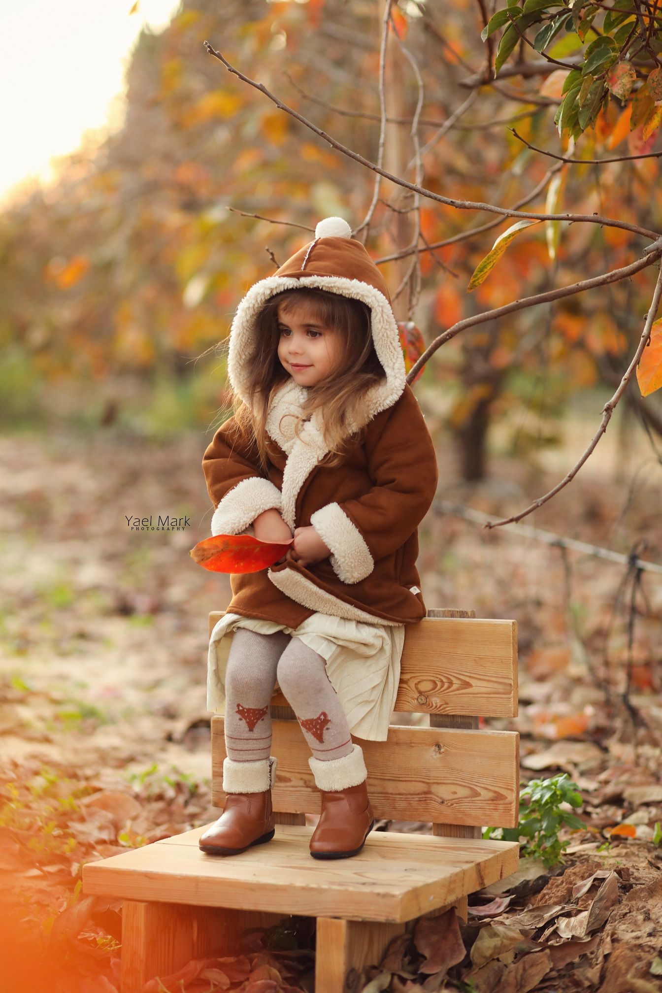 יעל מרק צלמת מקצועית 0528409157