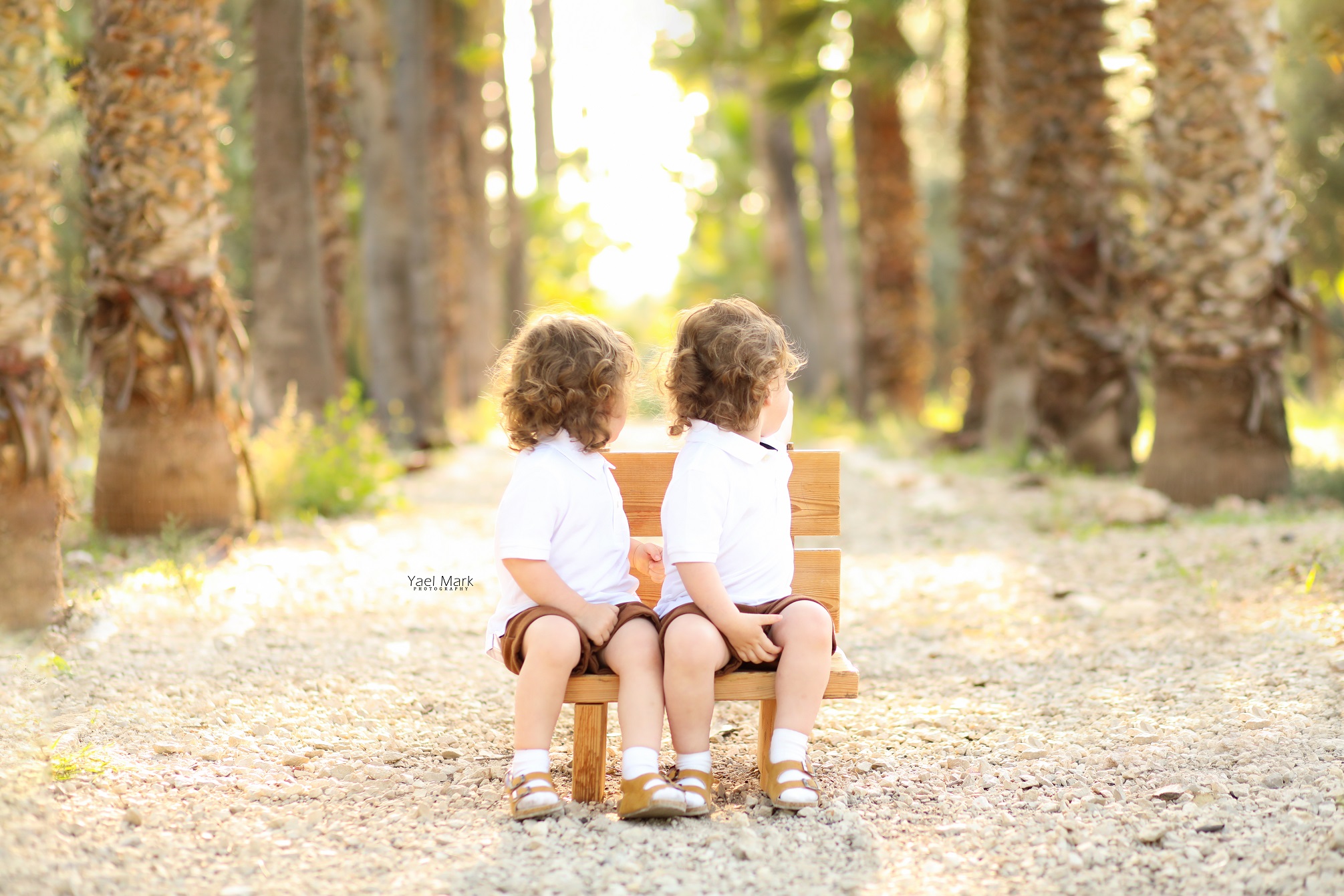 יעל מרק צלמת מקצועית 0528409157