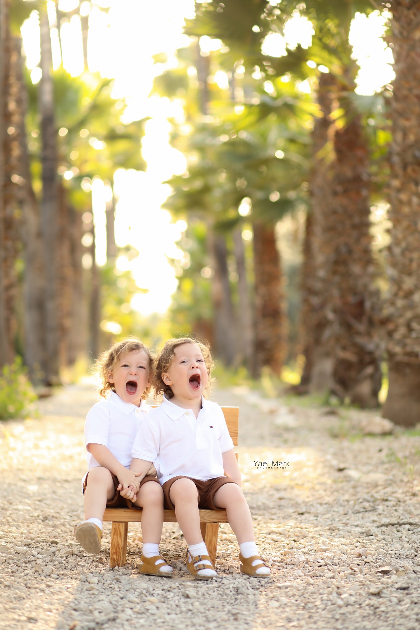 יעל מרק צלמת מקצועית 0528409157