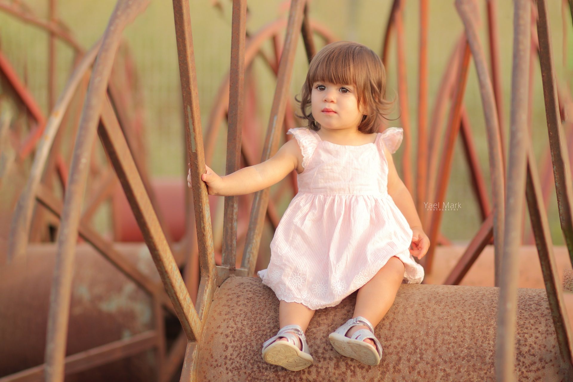 יעל מרק צלמת מקצועית- 0528409157