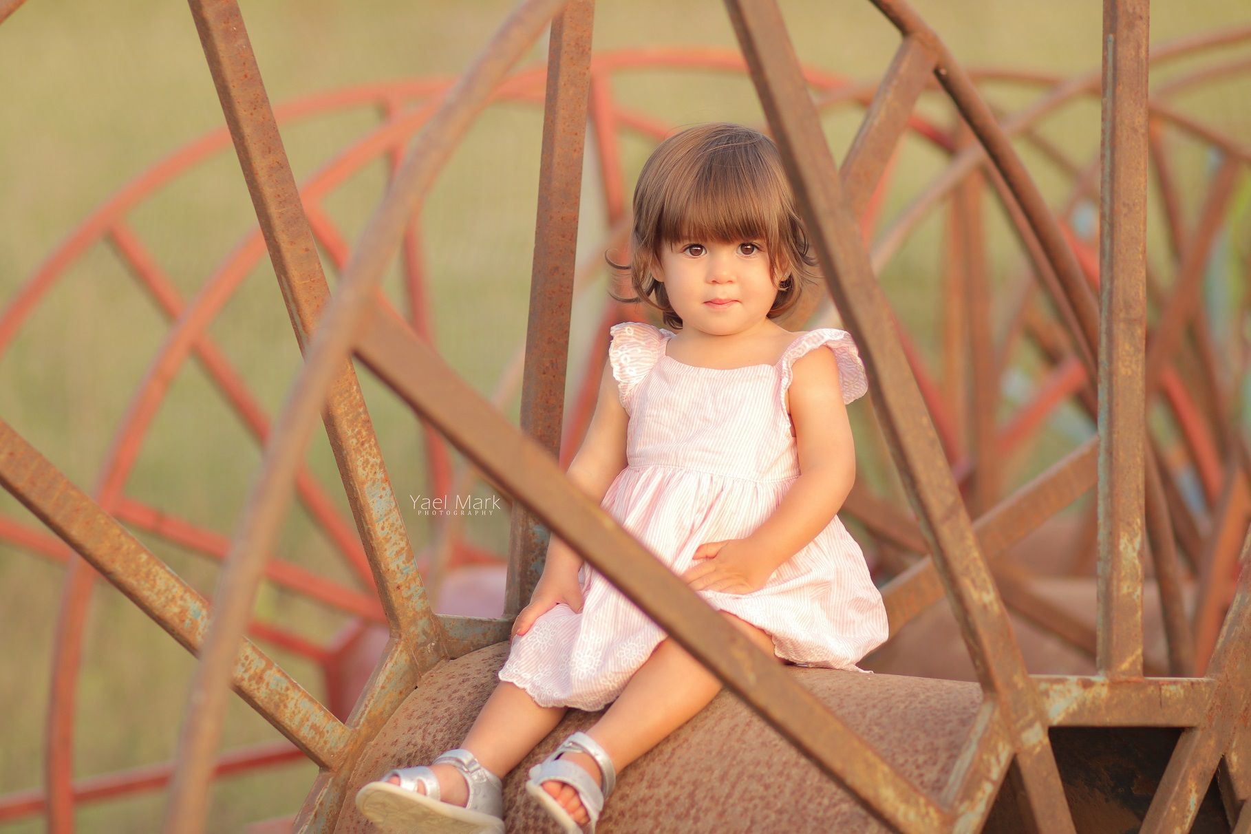 יעל מרק צלמת מקצועית- 0528409157