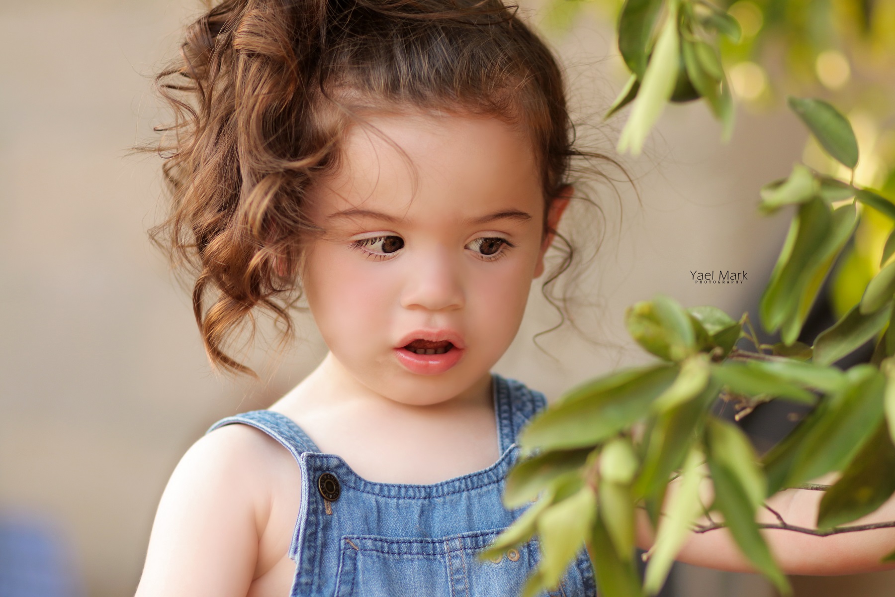 יעל מרק צלמת 0528409157