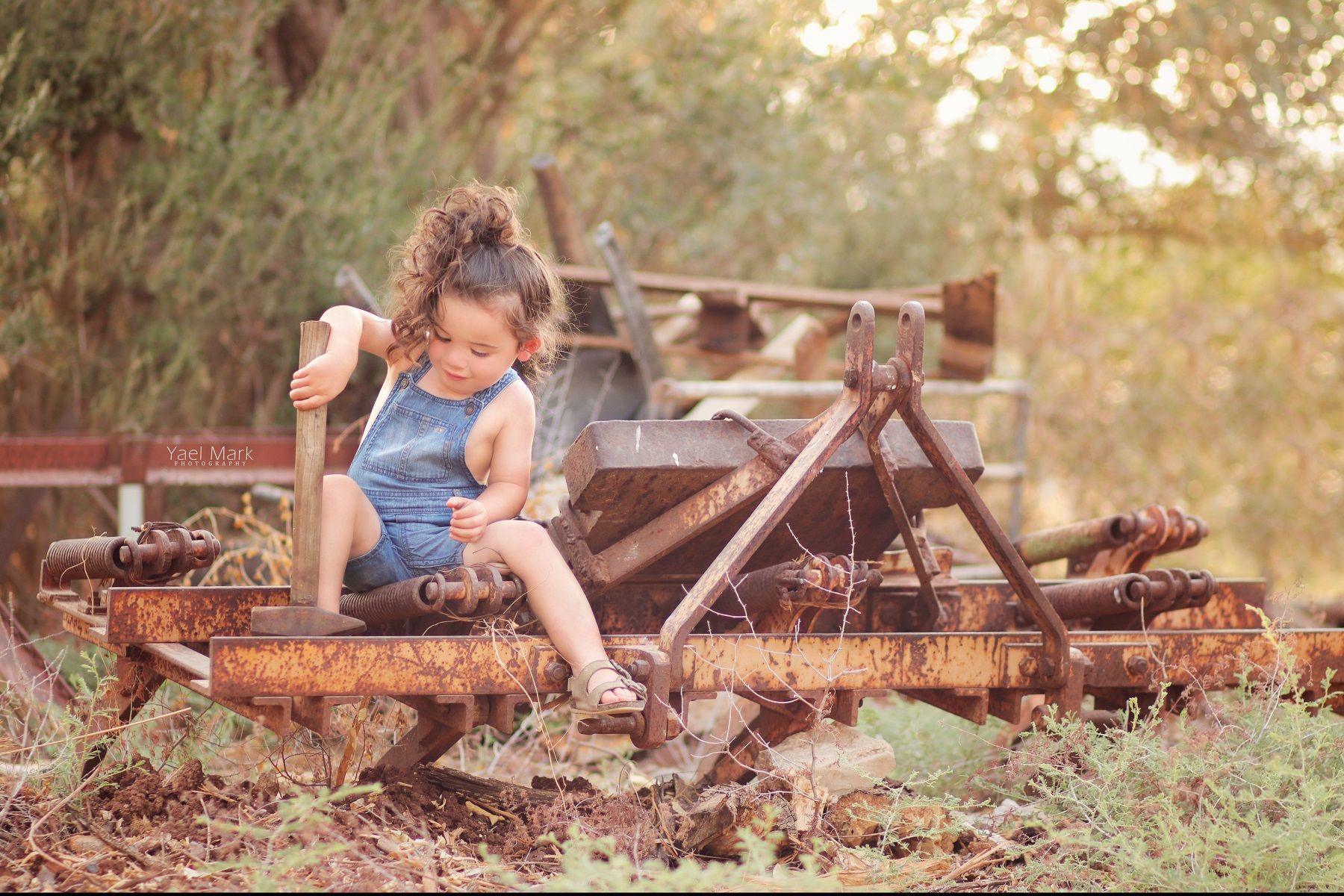 יעל מרק צלמת 0528409157