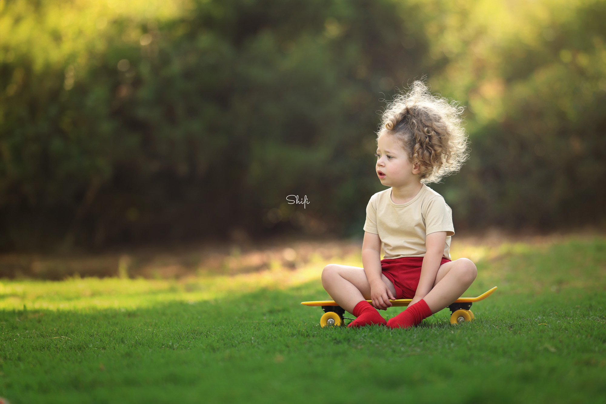 יעקב , צילום שיפי 0548517049 (15).jpg