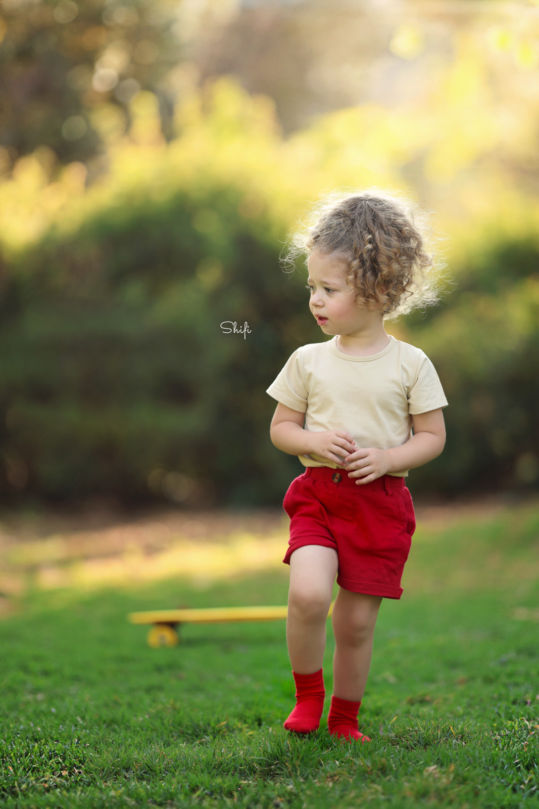 יעקב , צילום שיפי 0548517049 (16).jpg