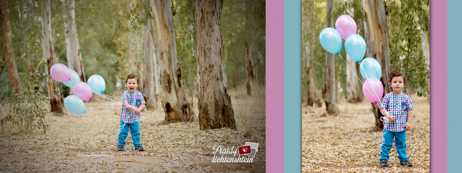 יער בלונים 1