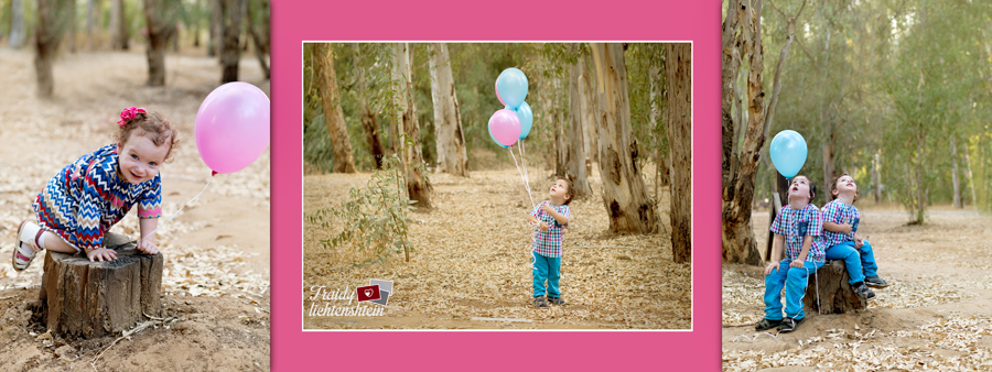 יער בלונים 2