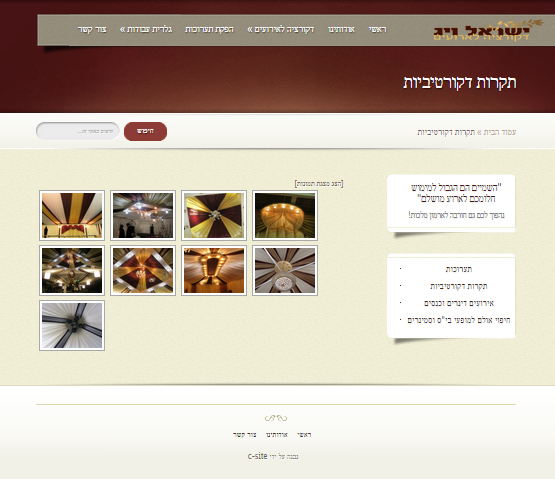 ישראל ויג - עמוד גלריה