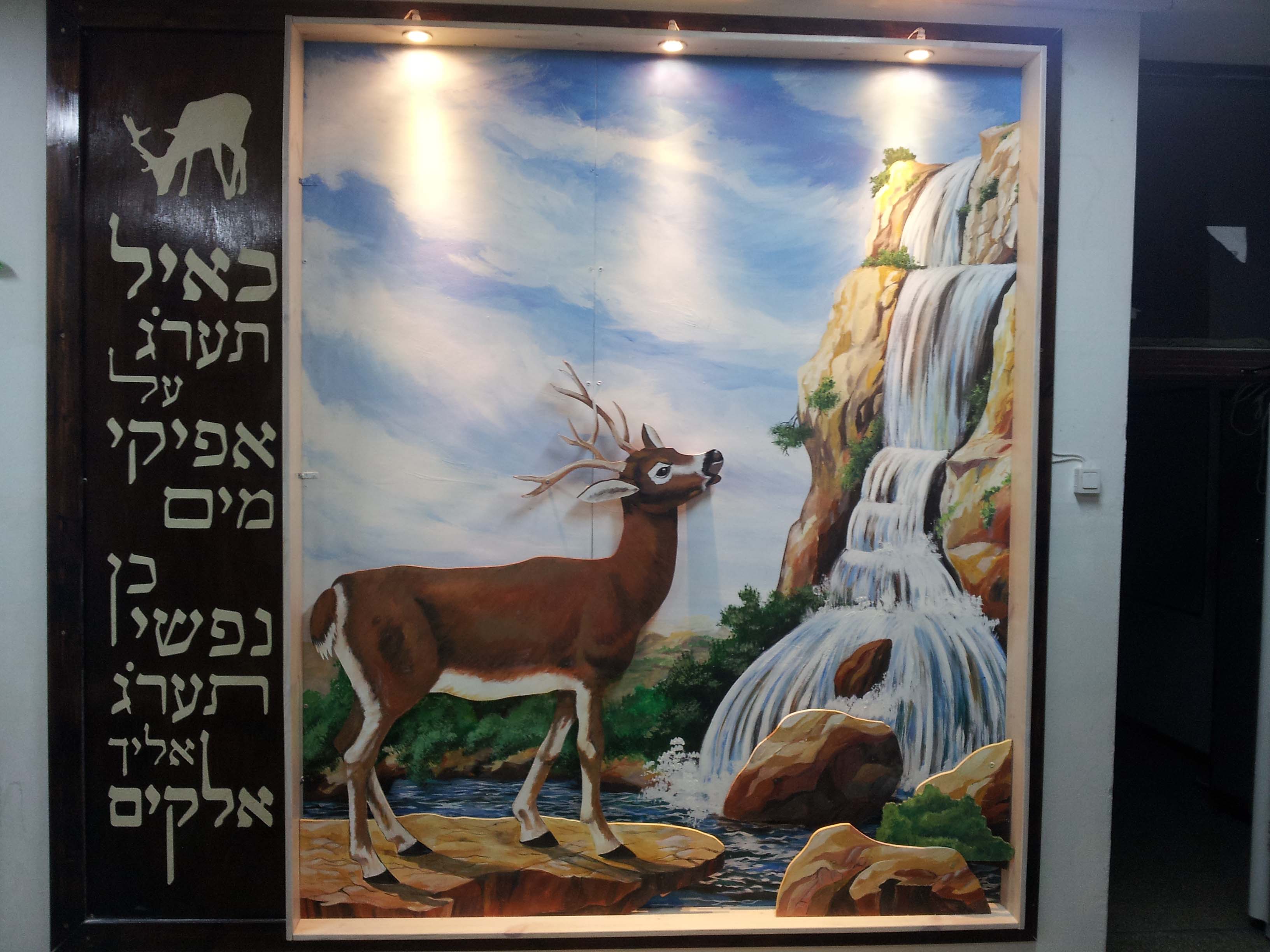 כאייל תערוג רחובות 1.jpg