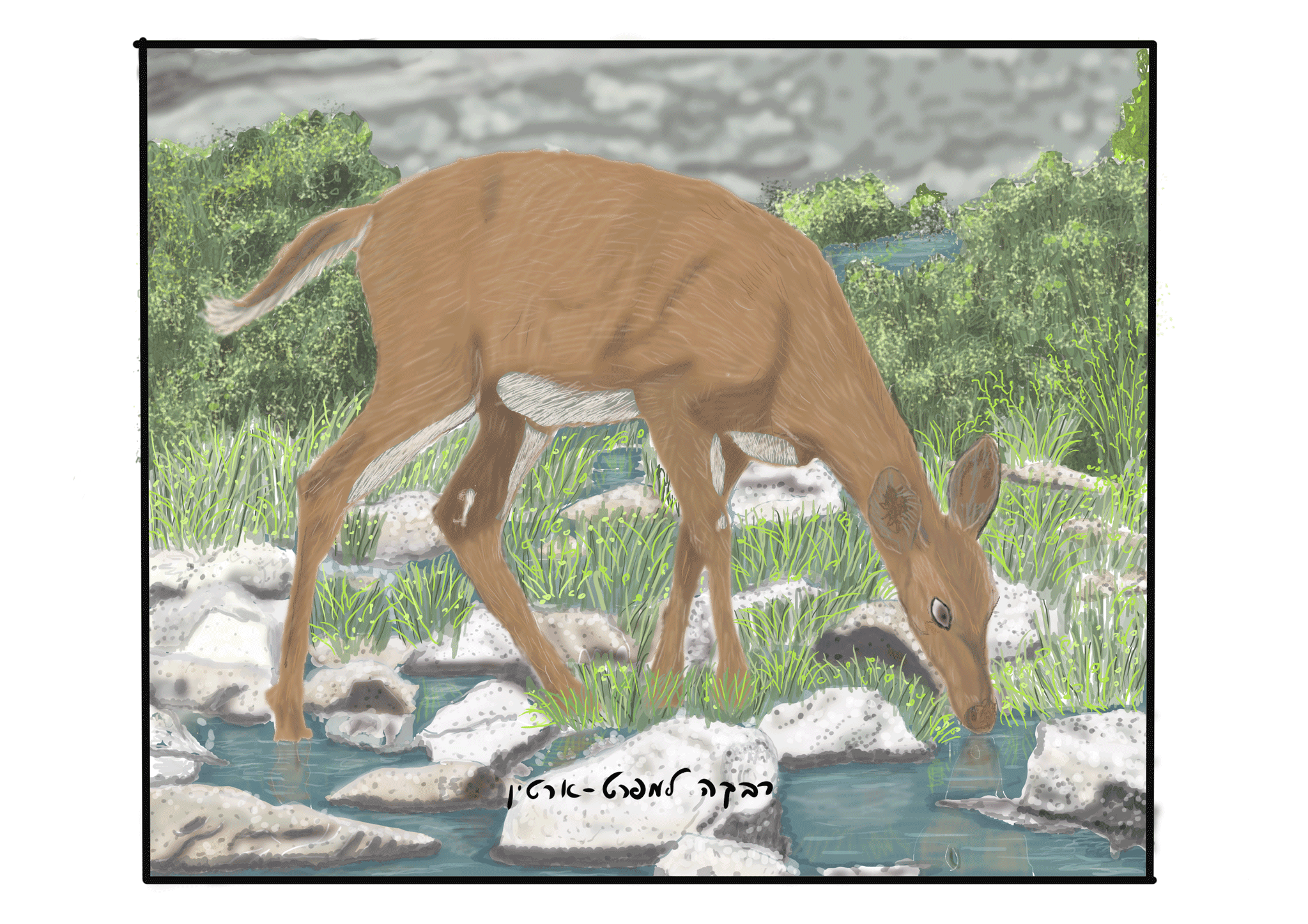 כאיל(ה) תערוג על אפיקי מים