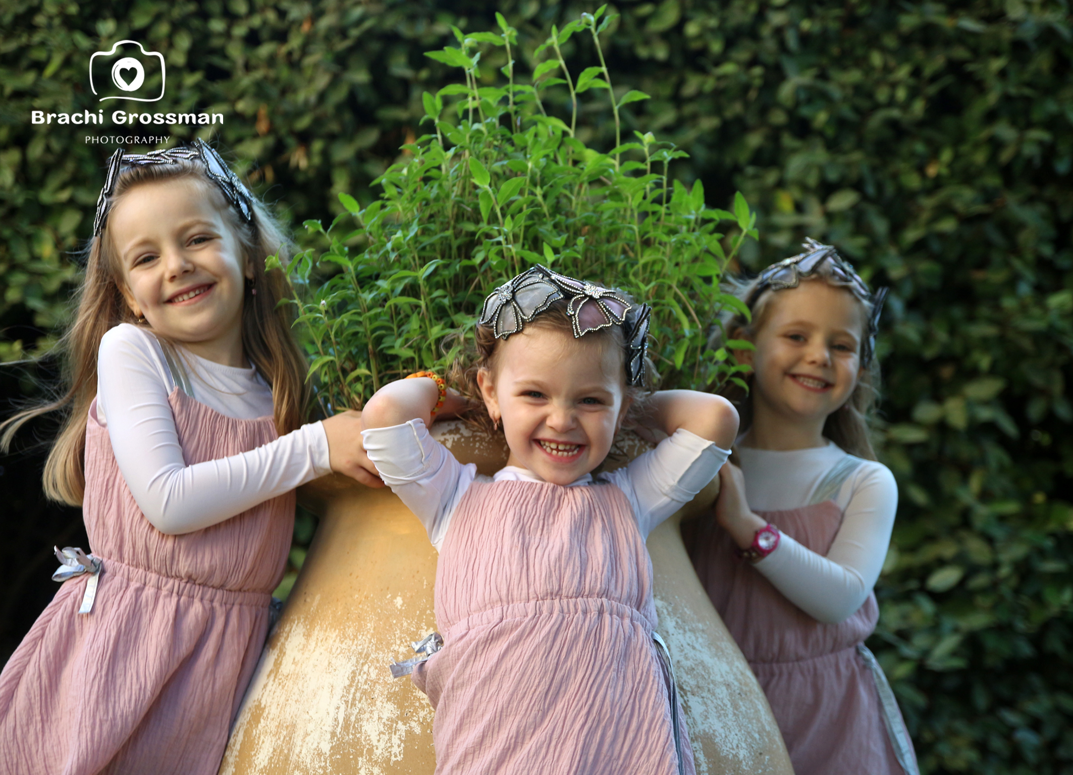 כבי פערי ושרי