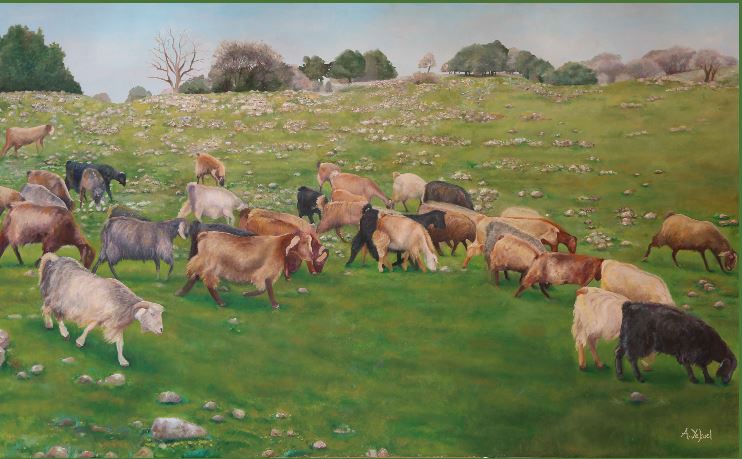 כבשים רזולוציה נמוכה