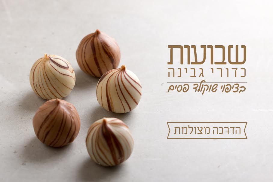 כדורי גבינה