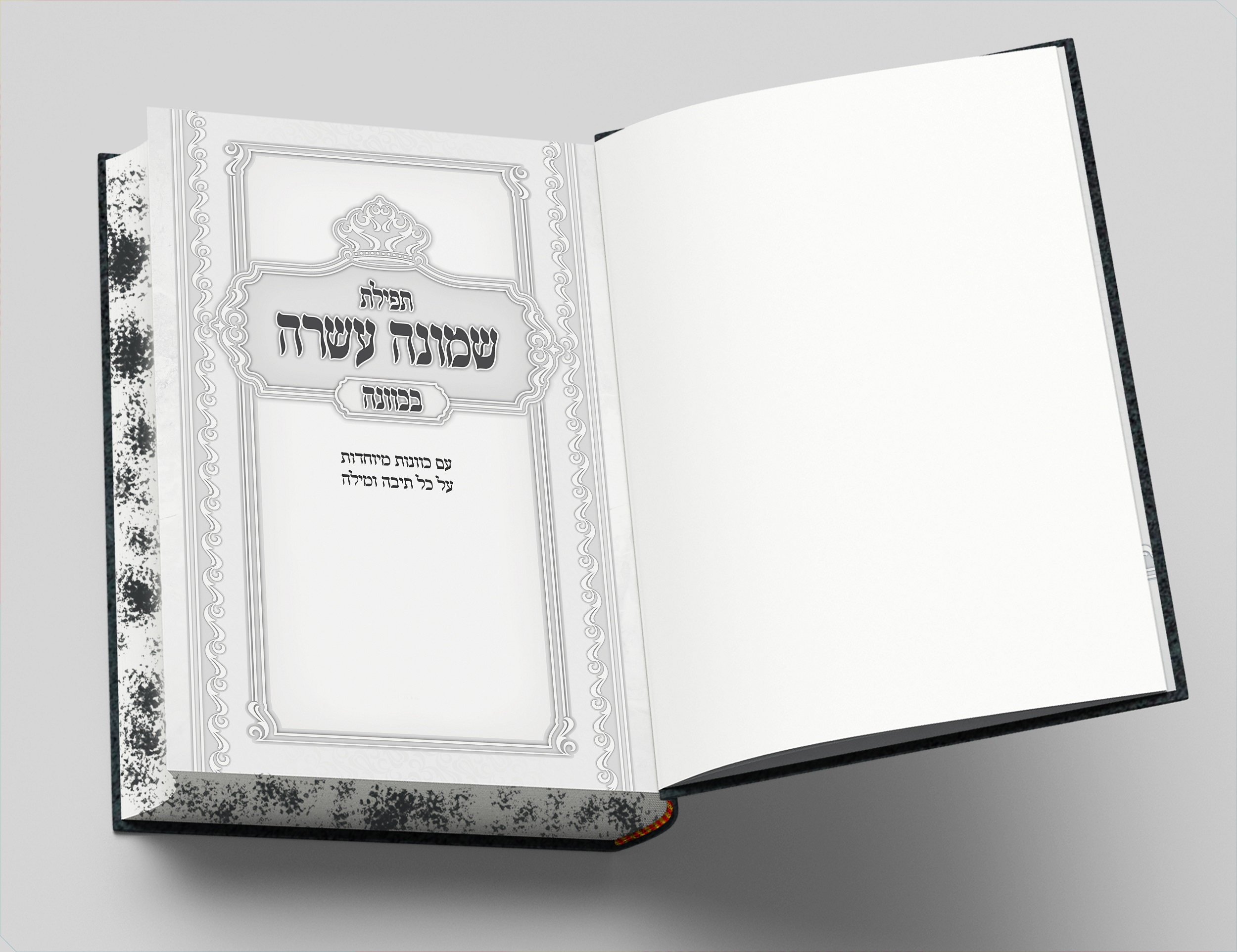 כוונה בשמו"ע - שער