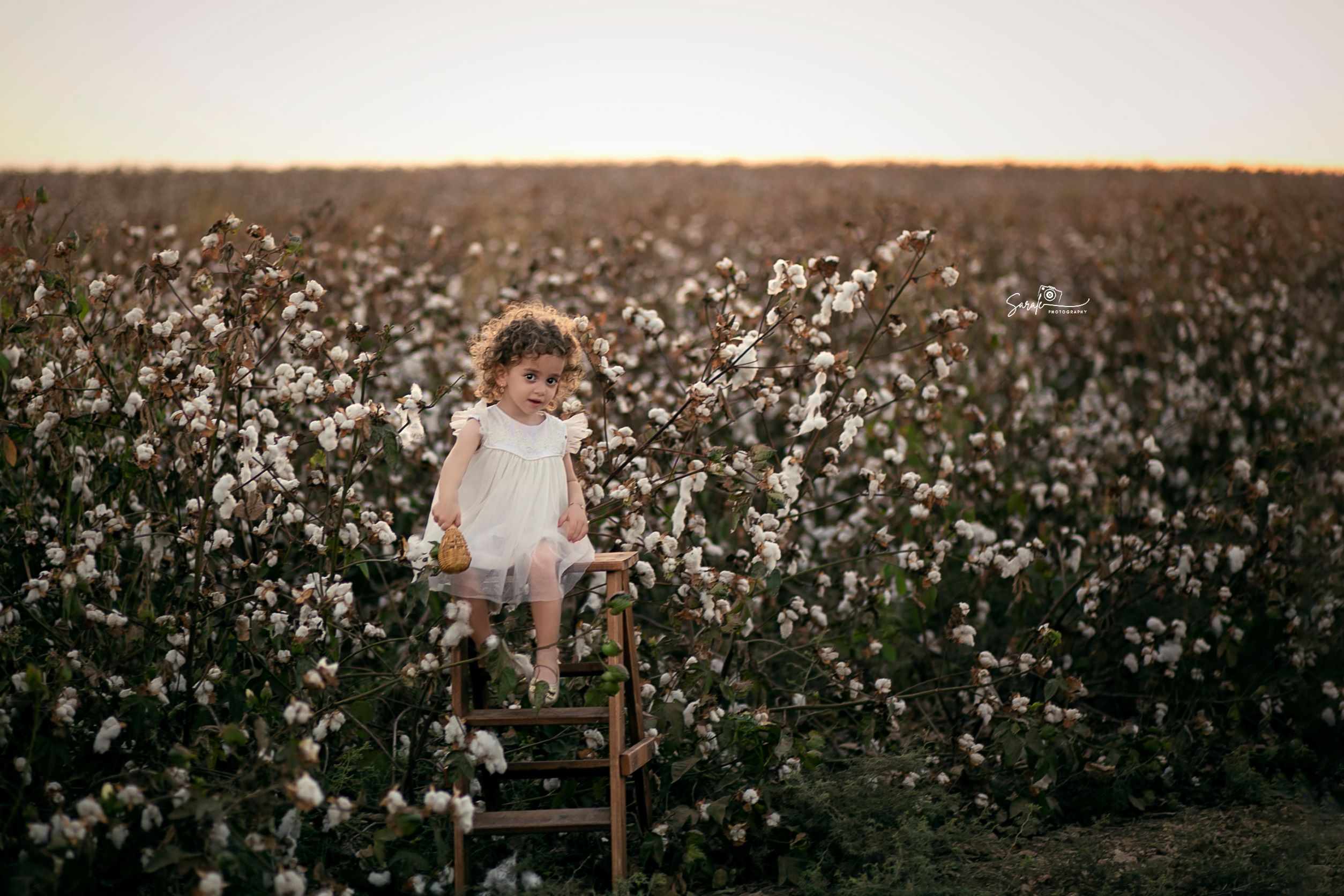 כותנה בקטן copyלוגומוקטן.jpg