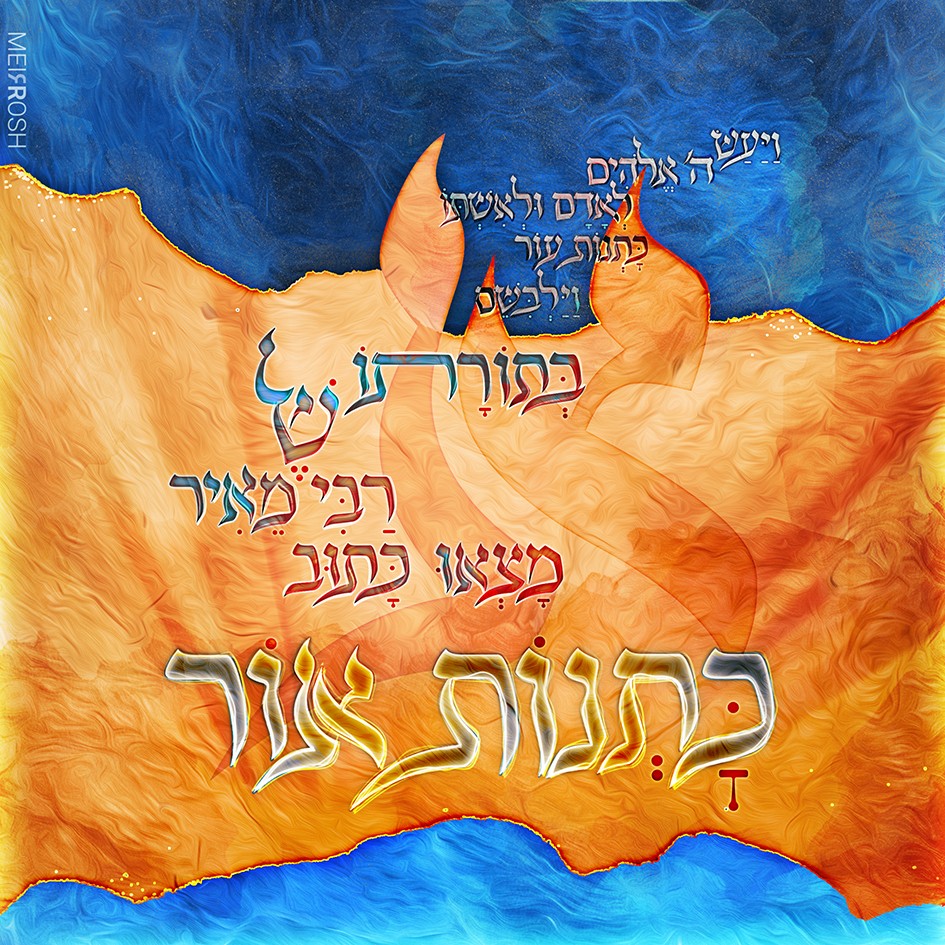 כותנות אור [מתוך מדרש בראשית רבה] MeirRoshDESIGN-02
