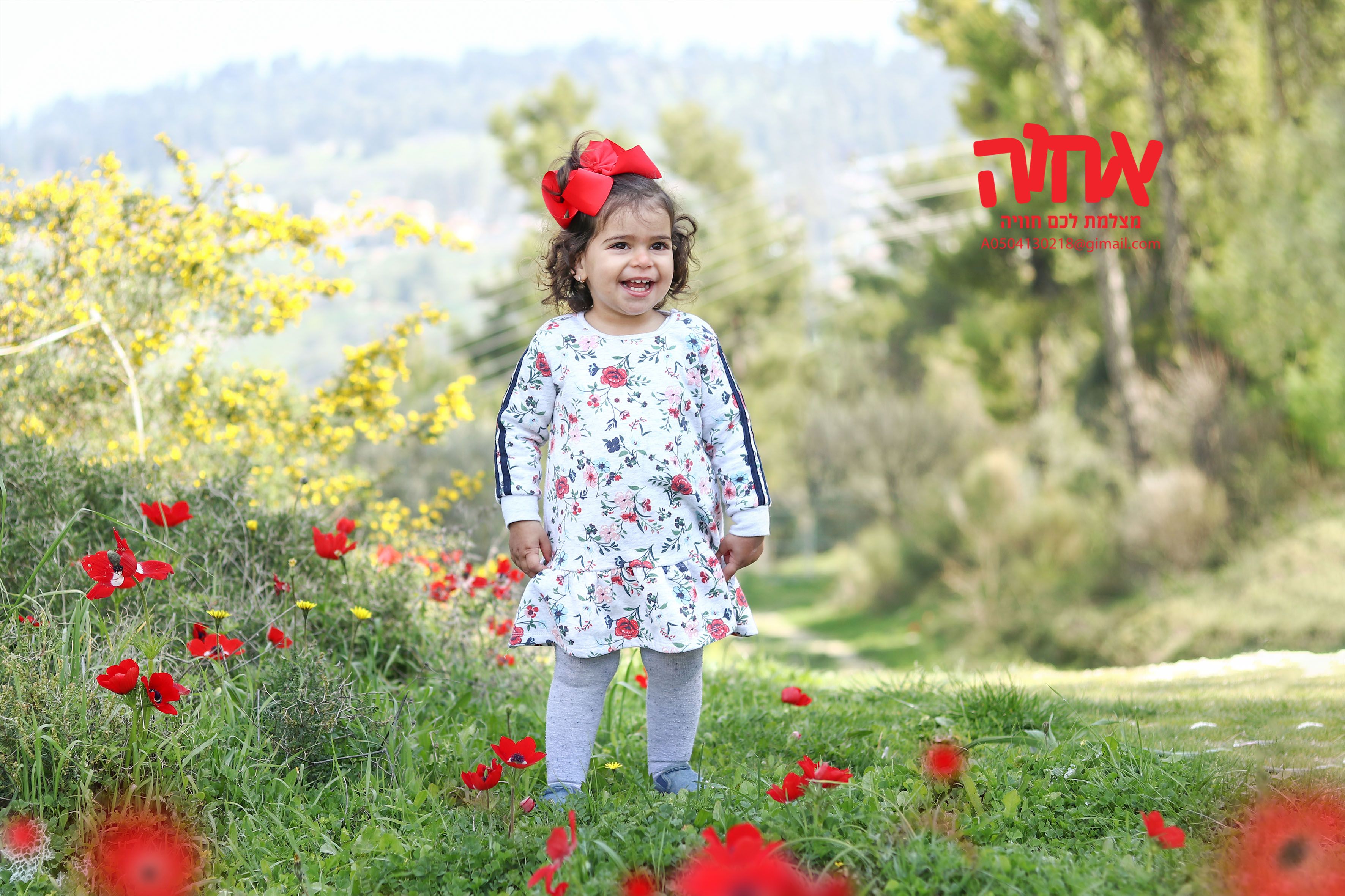 כלניות 0504130218.jpg