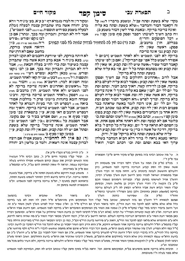 כל העמודים לאחר התיקונים32.jpg