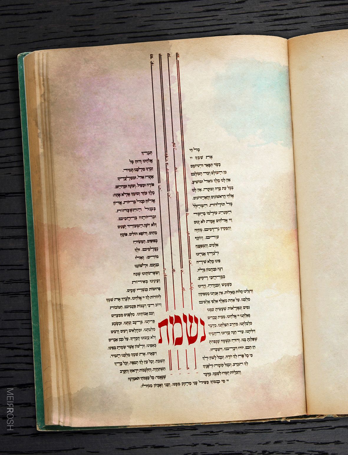 כל חי אתגר טיפוגרפיה MeirRoshDesignA_result