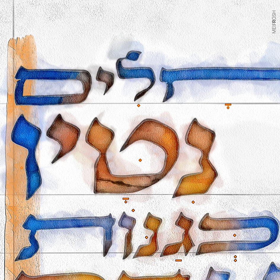 כנחלים נטיו MeirRoshDesign4