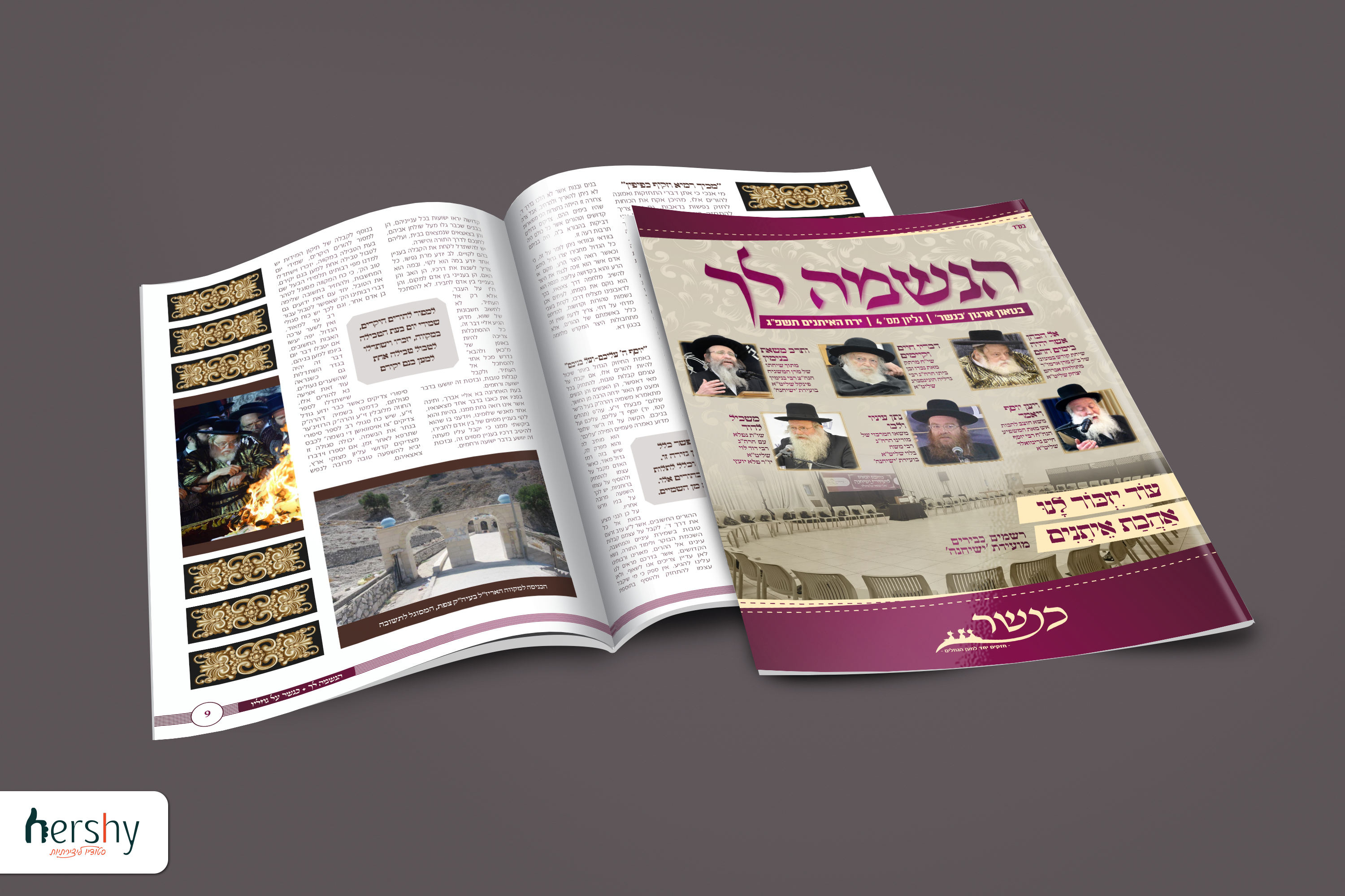 כנשר תשרי.jpg