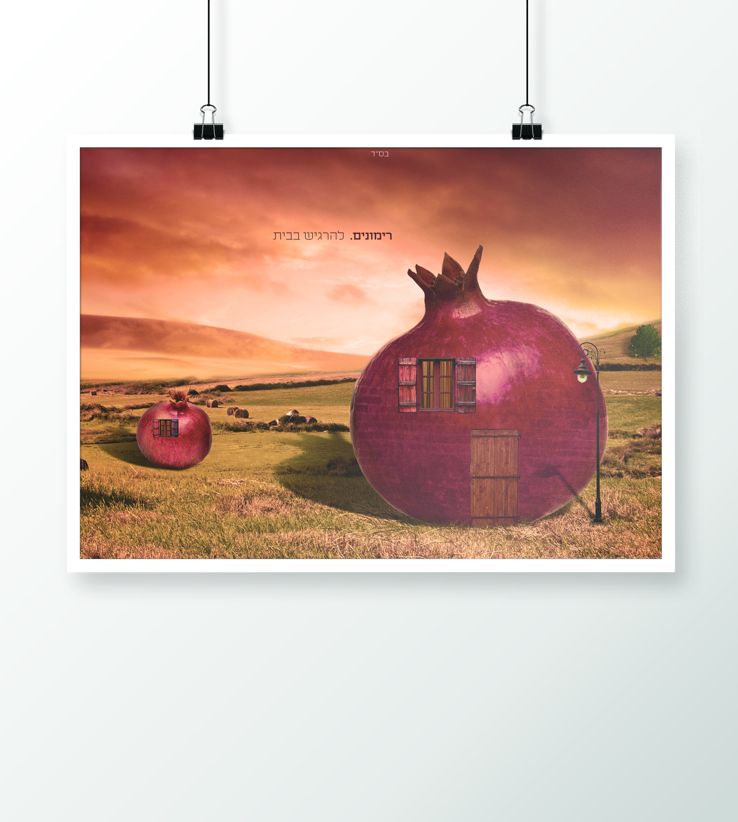 כרזה למלון רימונים