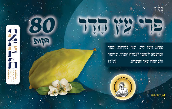 כרטיסים סוכות תשפג עמלי תורה - מאוגדים1.jpg