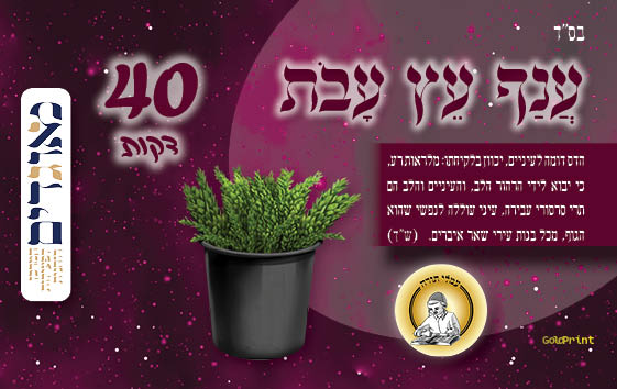 כרטיסים סוכות תשפג עמלי תורה - מאוגדים3.jpg