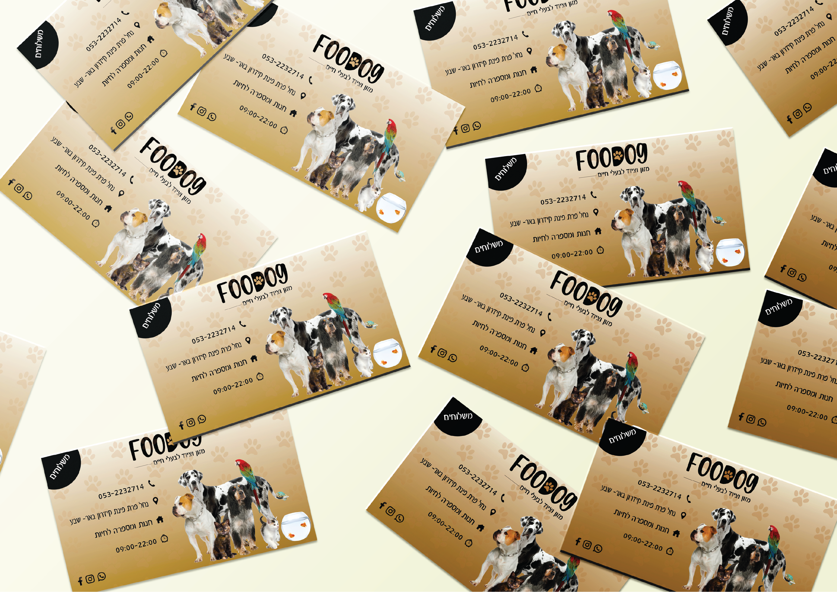 כרטיסי ביקור.png