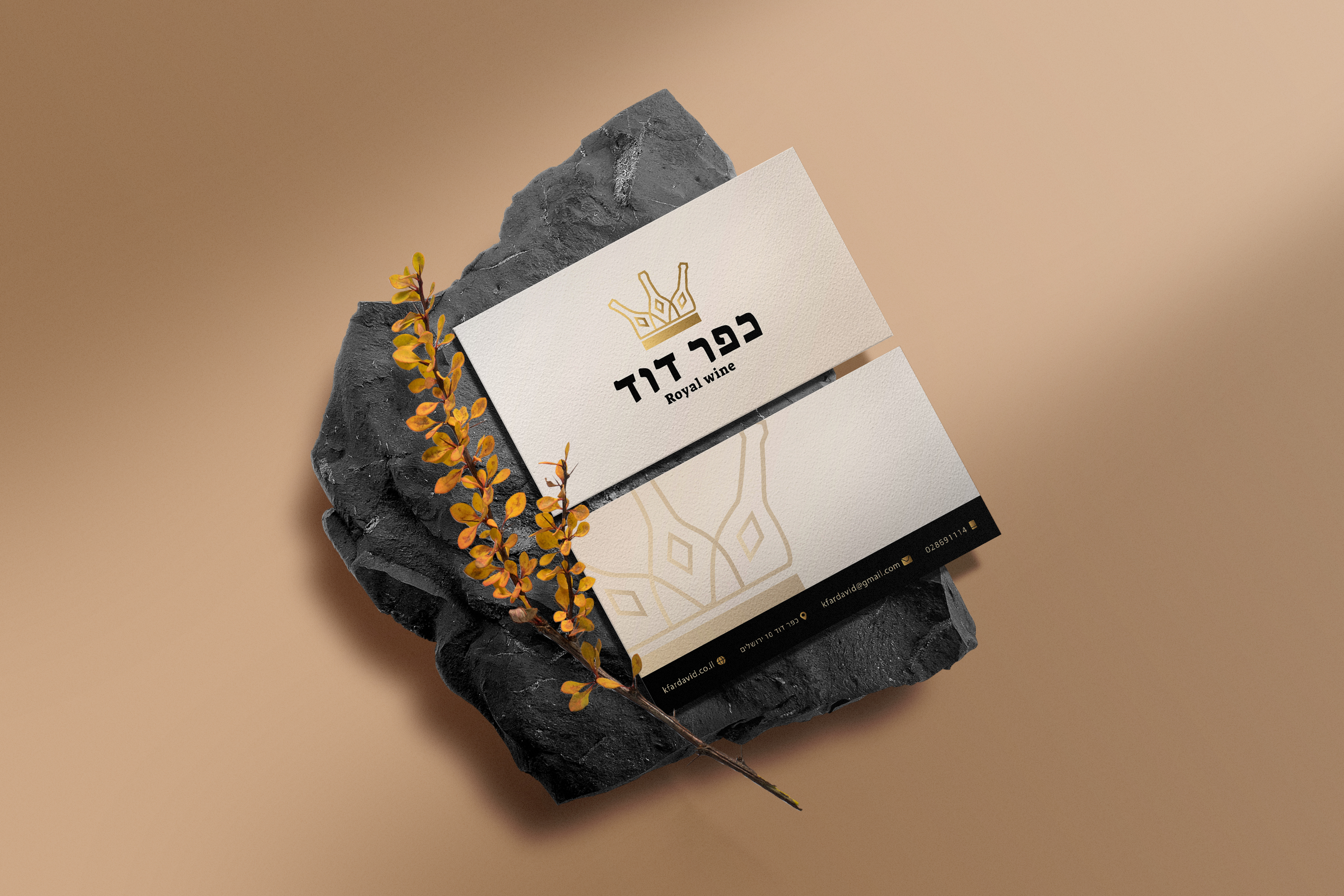 כרטיס ביקור - הדמיה.jpg