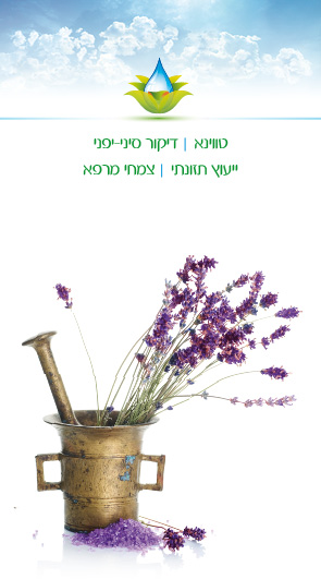 כרטיס ביקור    2