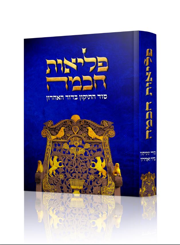 כריכה פליאות חכמה.jpg