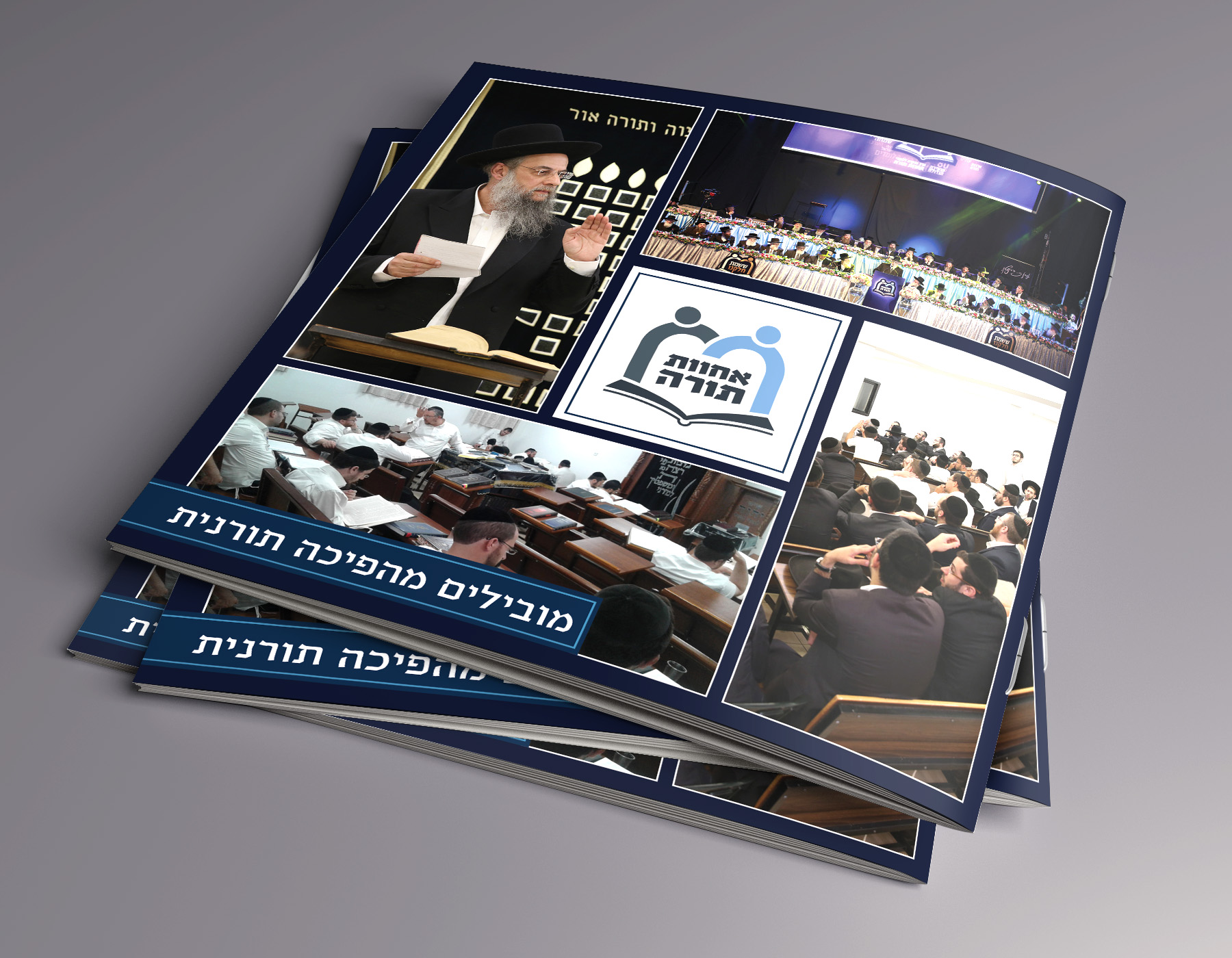 כריכה פרוספקט