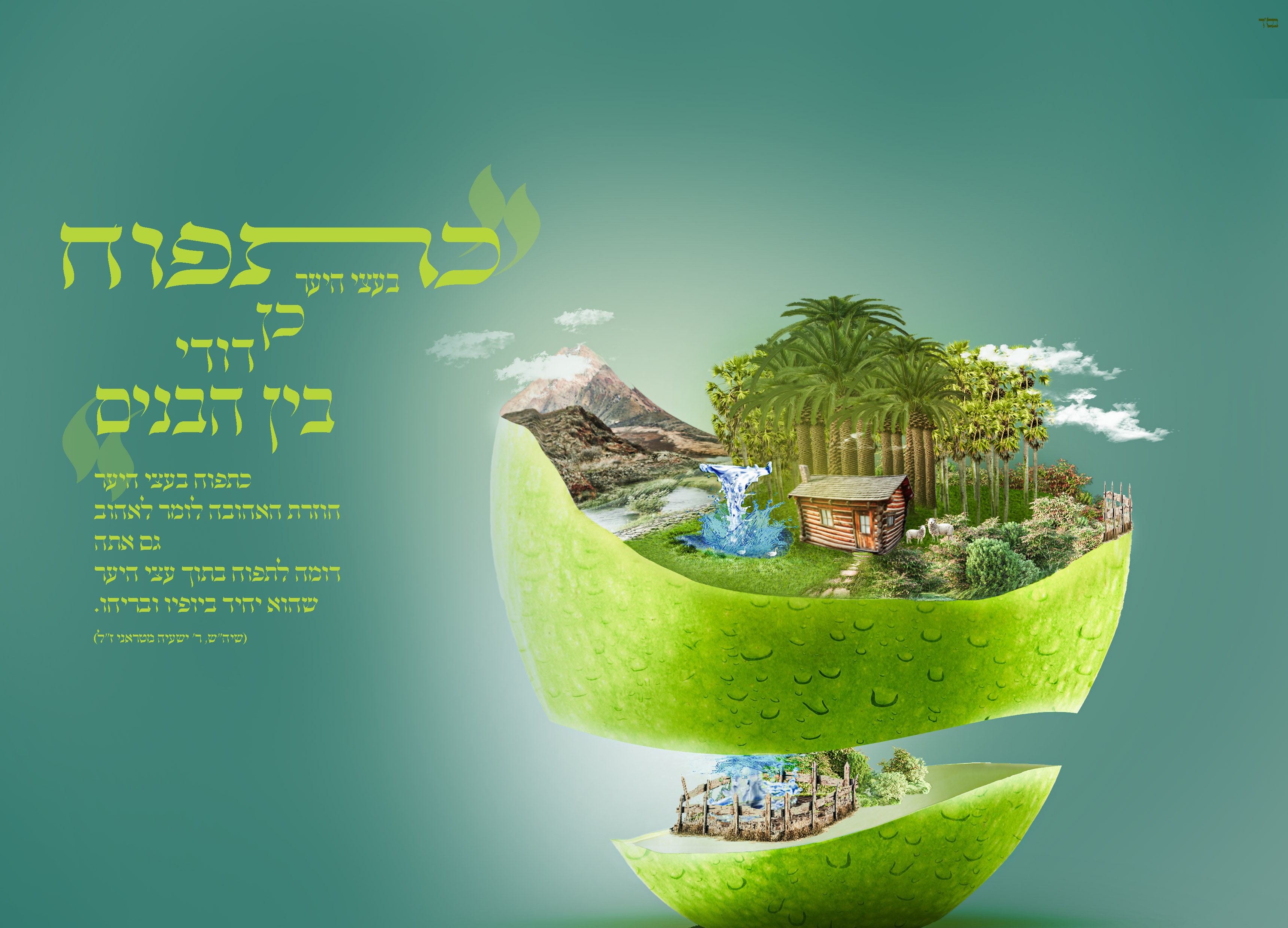 כתפוח בעצי היער סופי copy.jpg