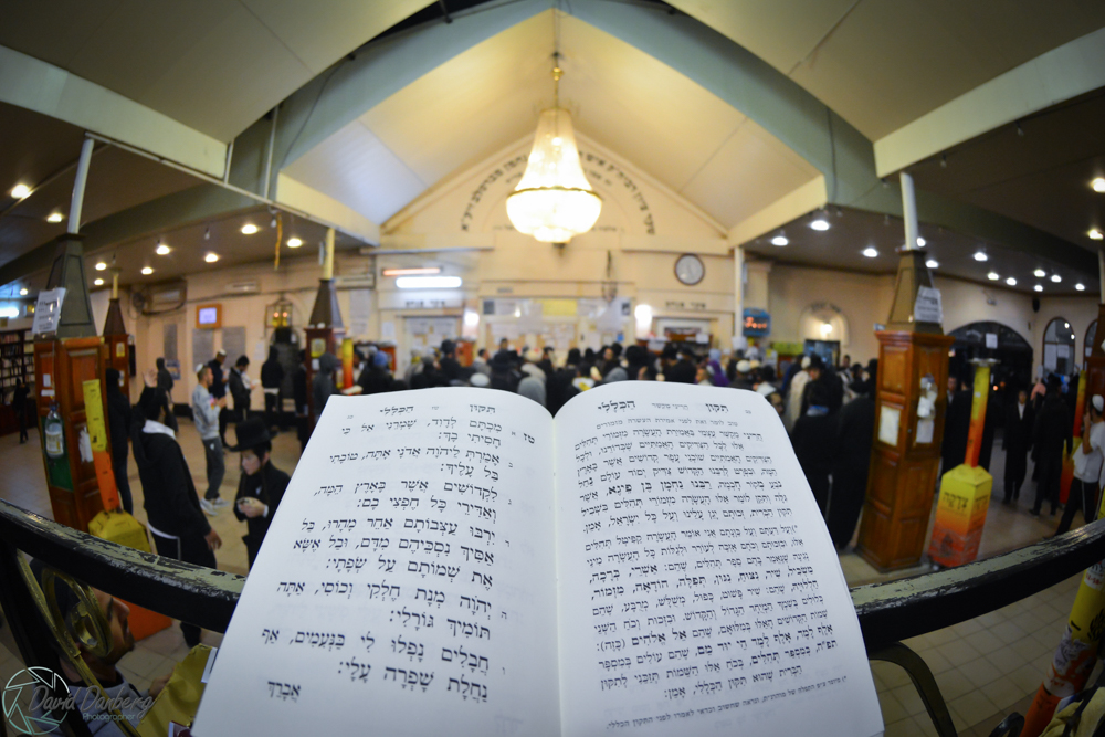 <לא ניתן לפרסם מיילים באופן פומבי> com (11)