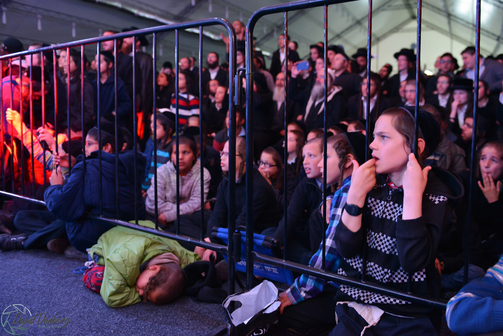 <לא ניתן לפרסם מיילים באופן פומבי> com (24)