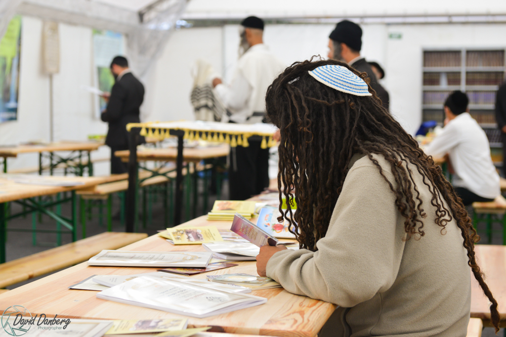 <לא ניתן לפרסם מיילים באופן פומבי> com (32)