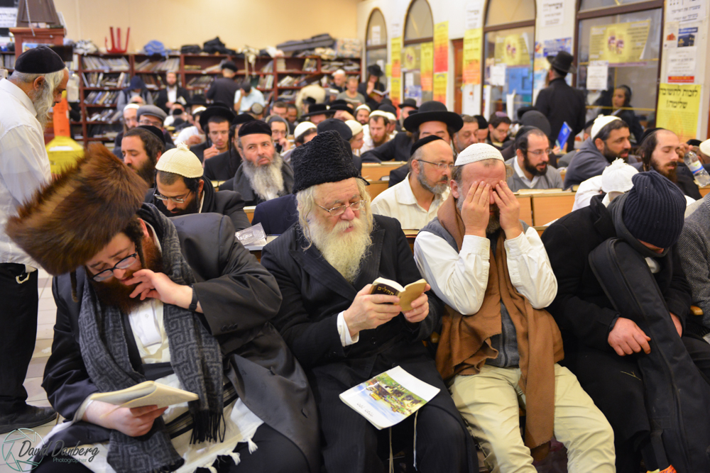 <לא ניתן לפרסם מיילים באופן פומבי> com (52)