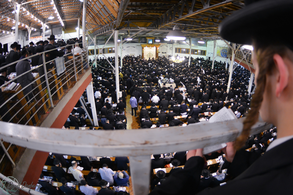 <לא ניתן לפרסם מיילים באופן פומבי> com (54)