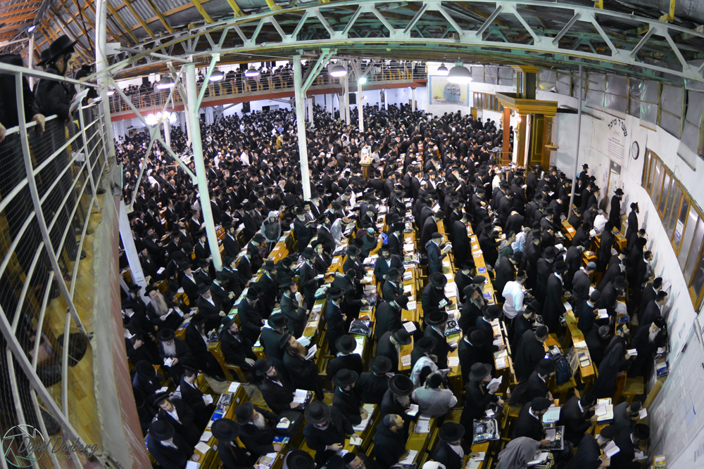 <לא ניתן לפרסם מיילים באופן פומבי> com (55)