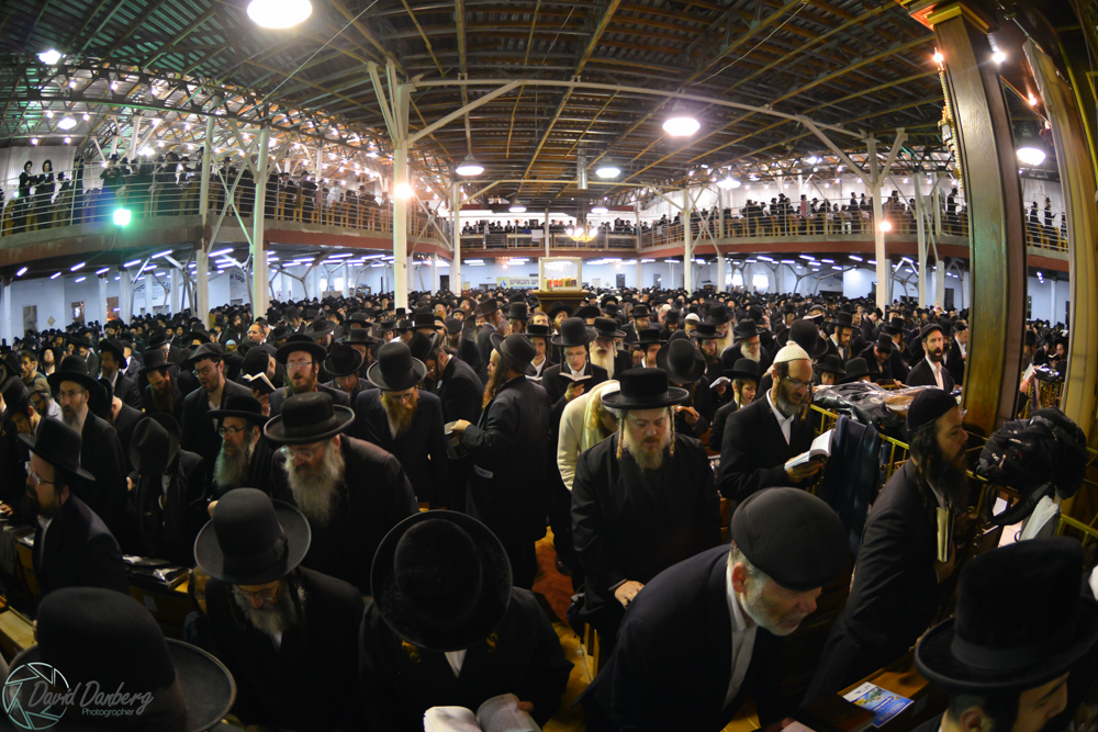 <לא ניתן לפרסם מיילים באופן פומבי> com (56)