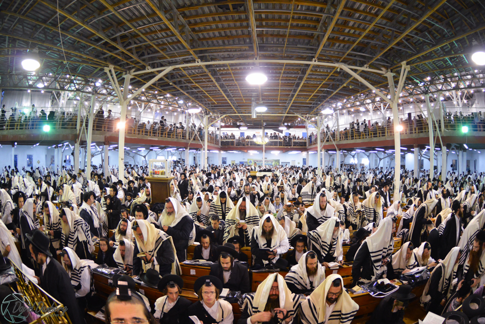 <לא ניתן לפרסם מיילים באופן פומבי> com (57)