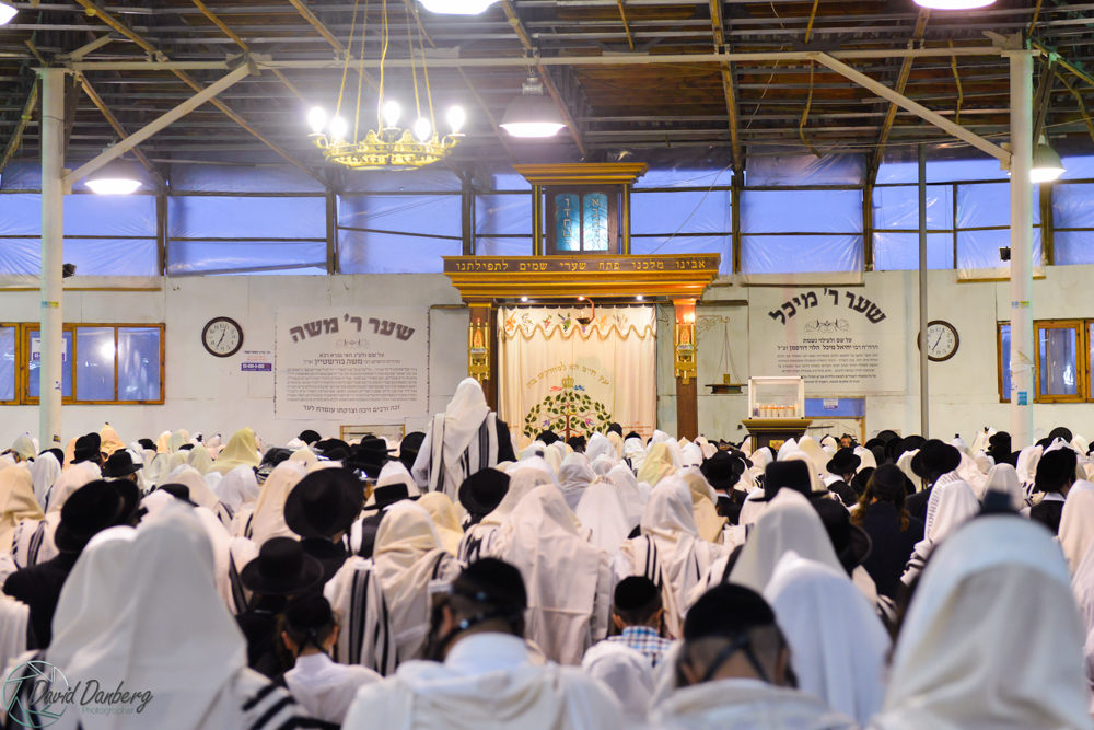 <לא ניתן לפרסם מיילים באופן פומבי> com (58)