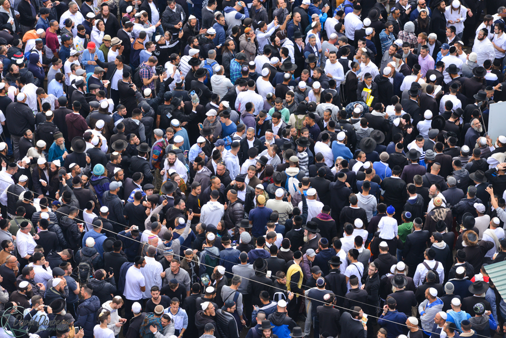 <לא ניתן לפרסם מיילים באופן פומבי> com (66)