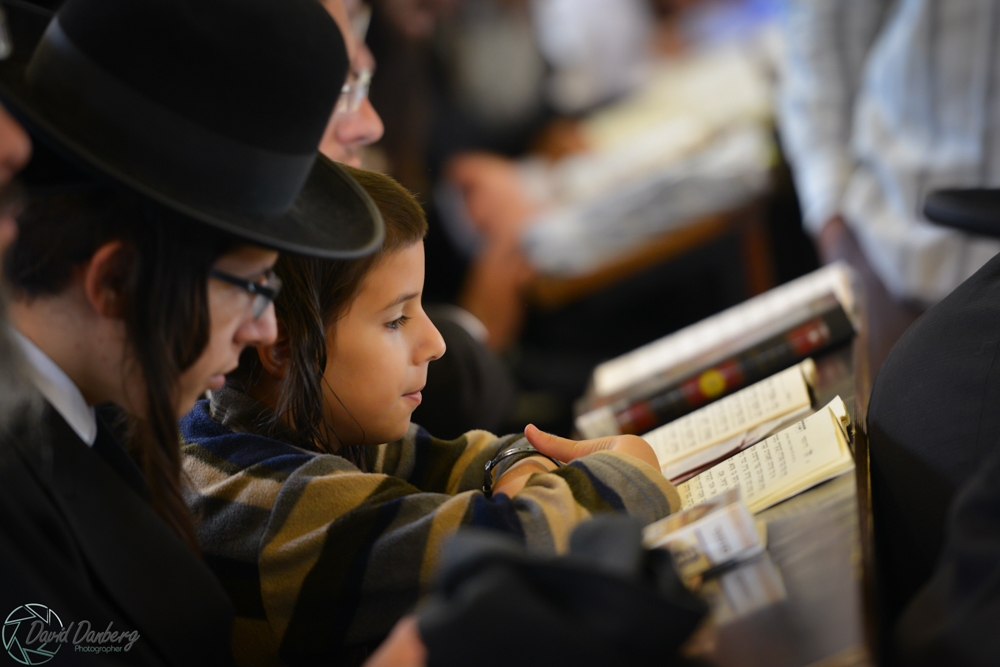 <לא ניתן לפרסם מיילים באופן פומבי> com (95)