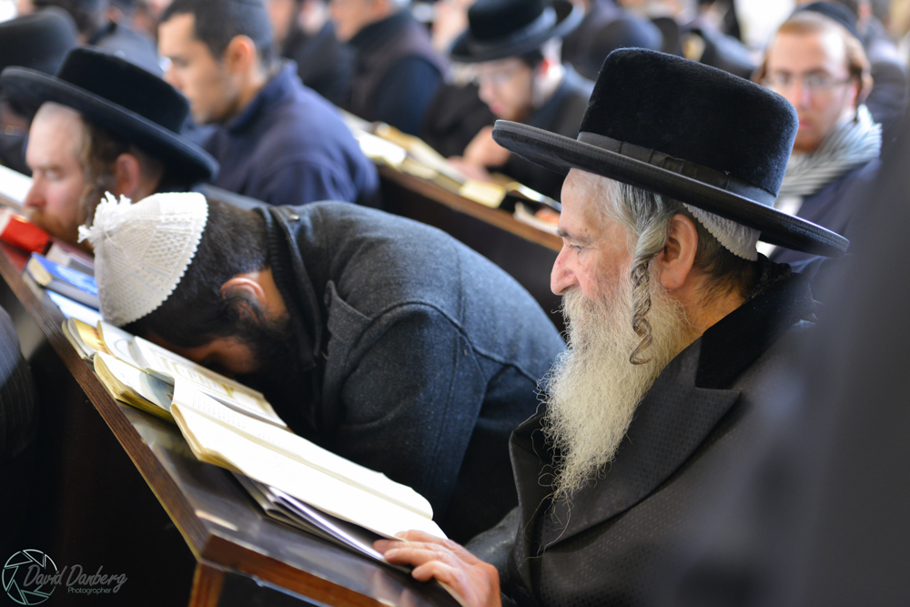 <לא ניתן לפרסם מיילים באופן פומבי> com (97)