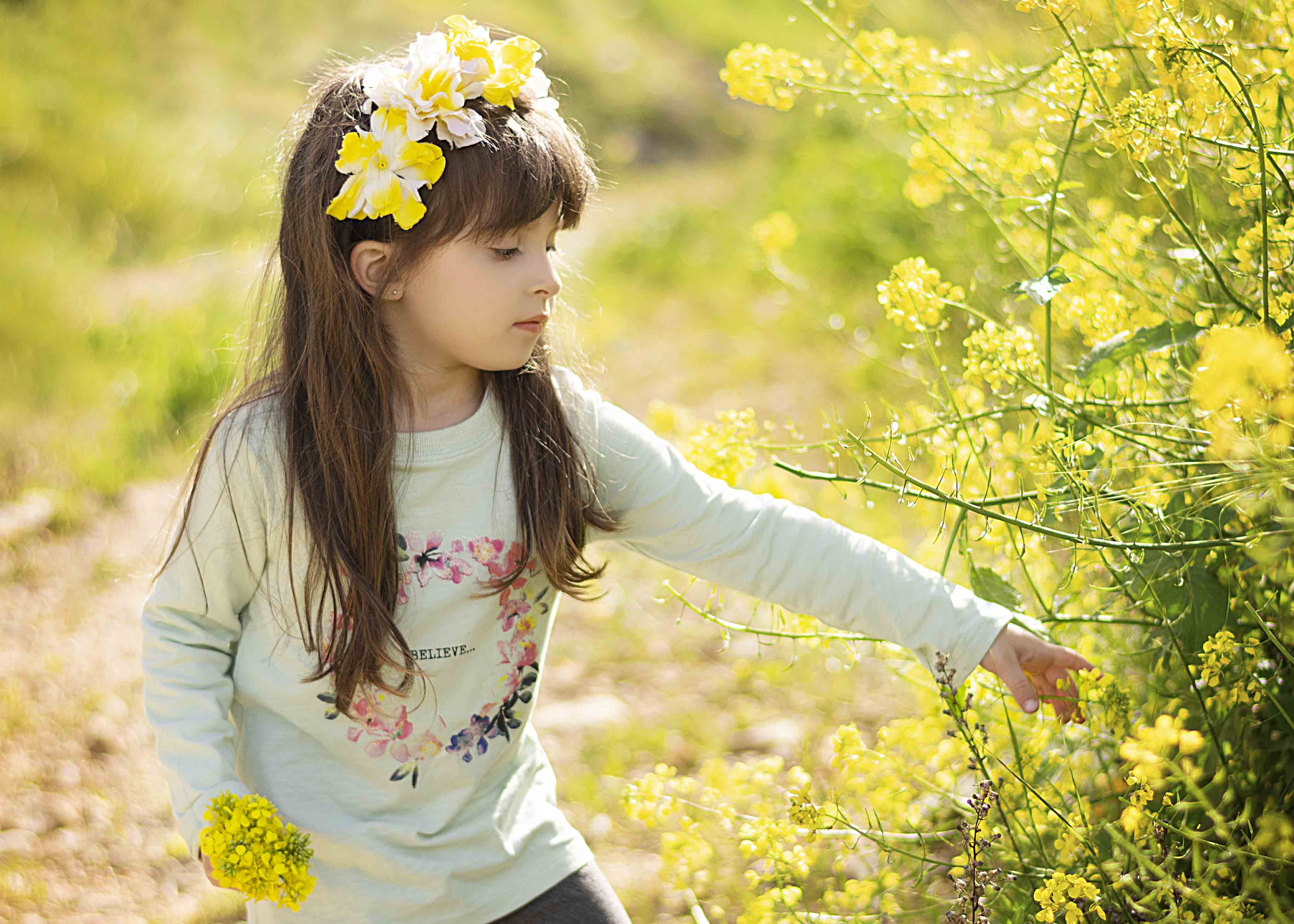 <לא ניתן לפרסם מיילים באופן פומבי>
